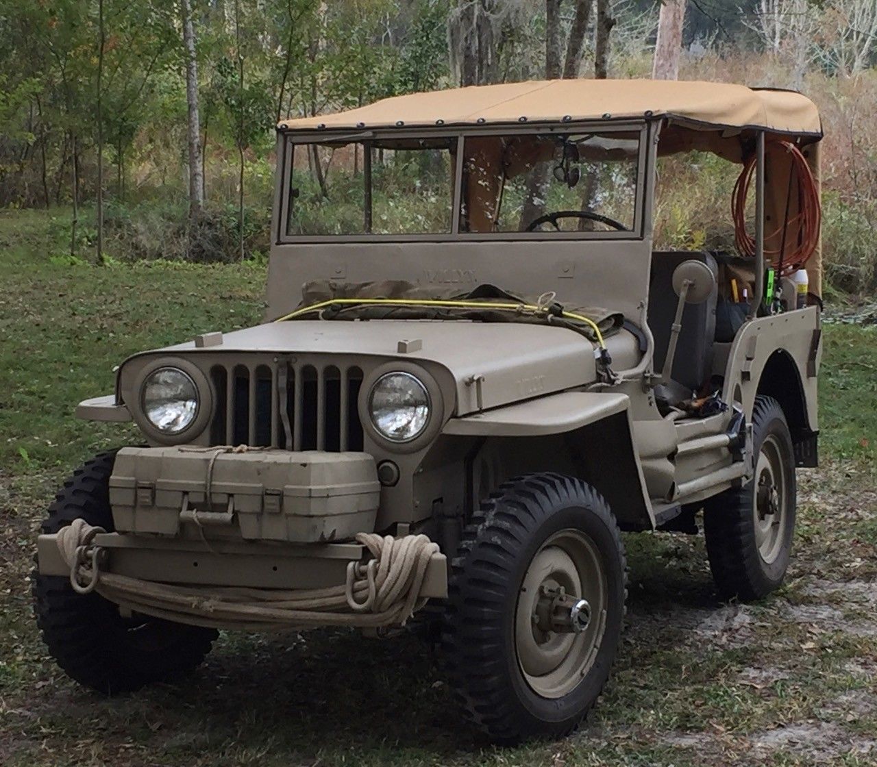 jeep willys for sale