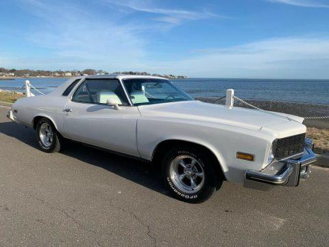 1975 Buick Century for sale