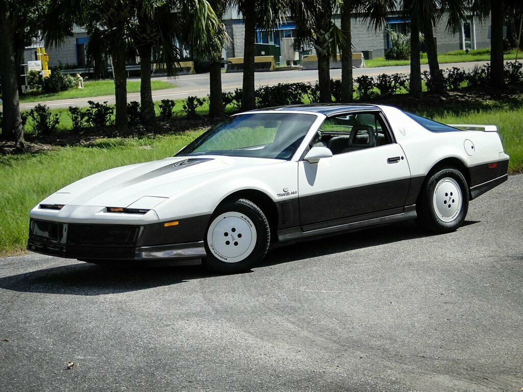 1983 Pontiac Trans Am Daytona 500 Pace CAR