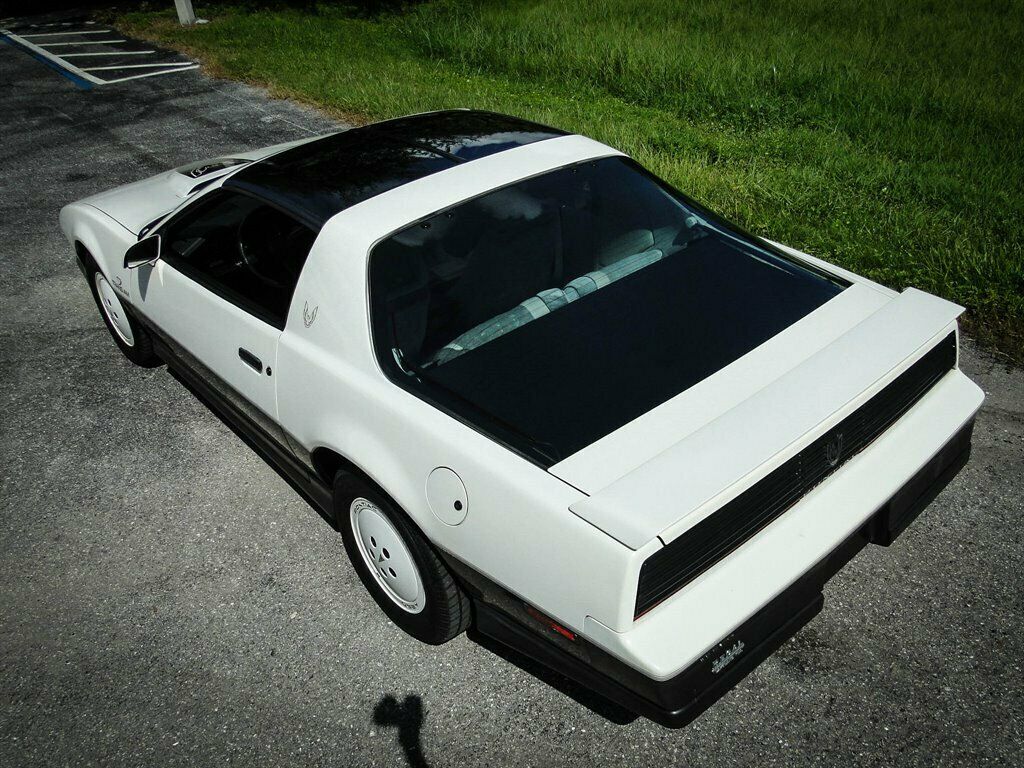 1983 Pontiac Trans Am Daytona 500 Pace CAR