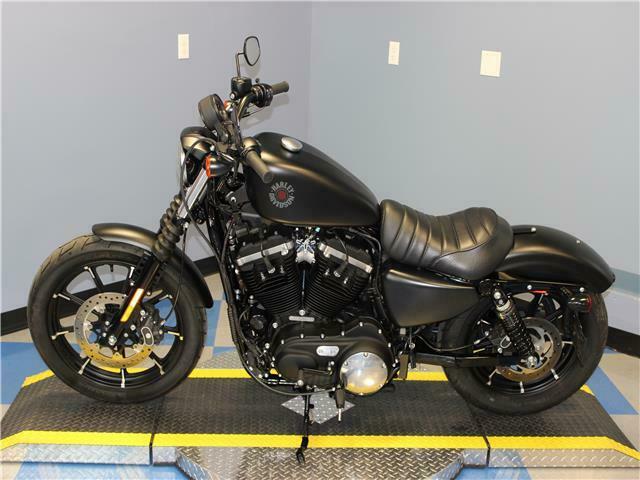 2019 Harley Davidson Sportster Iron