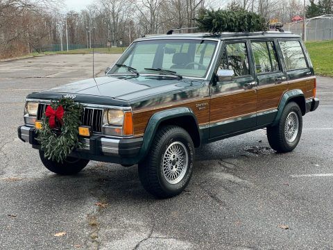 1991 Jeep Cherokee BRIARWOOD for sale