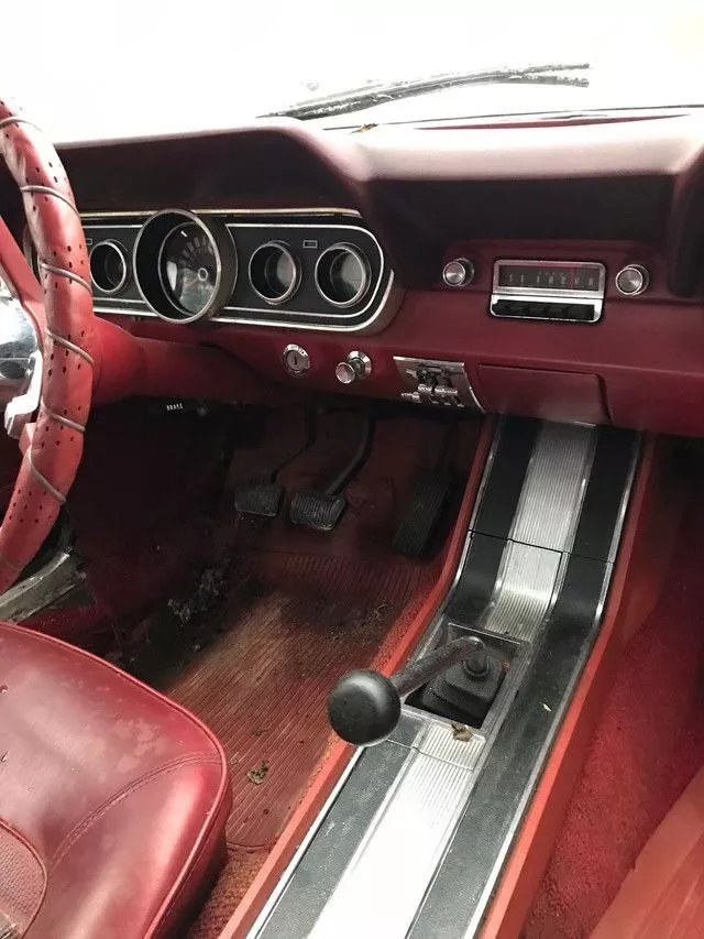 1966 Ford Mustang Convertible / 3 Speed Manual