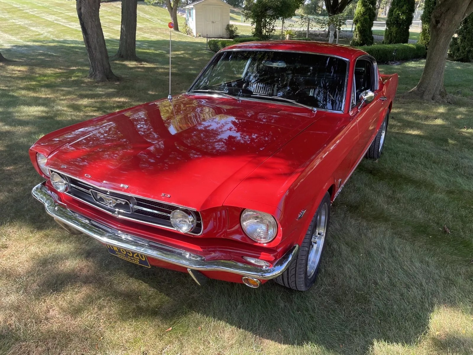 1965 Ford Mustang GT