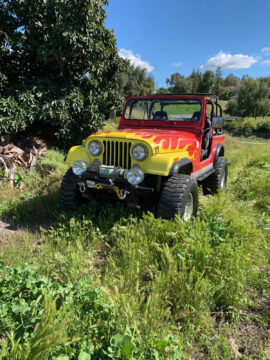 1984 Jeep CJ for sale