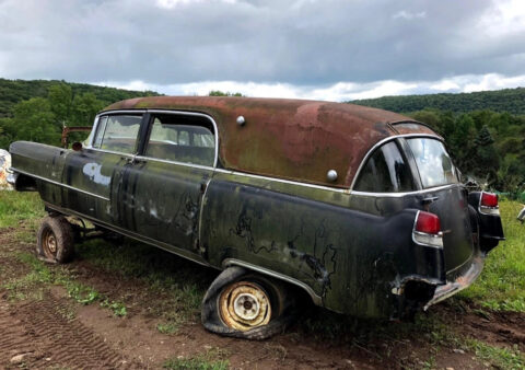 1955 Cadillac for sale