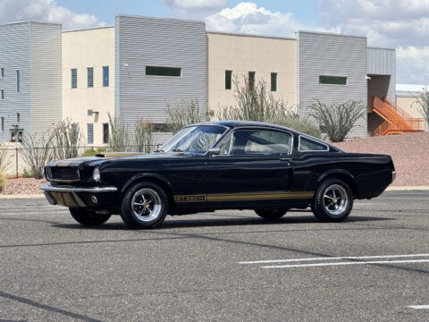 1966 Shelby Gt350h for sale