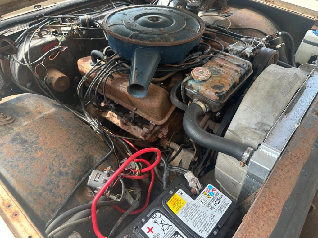 1966 Mercury