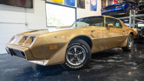 1979 Pontiac Trans Am for sale