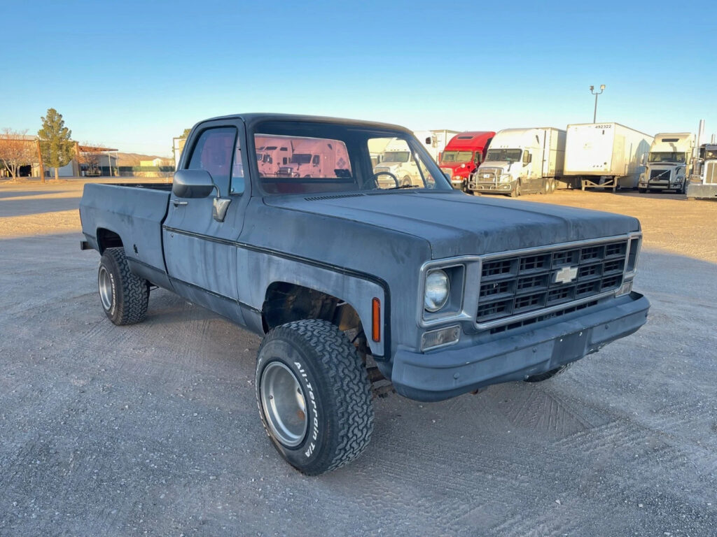 1978 Chevrolet 1/2 Ton Pickup