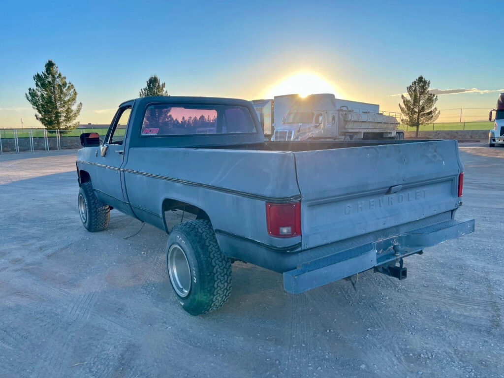 1978 Chevrolet 1/2 Ton Pickup