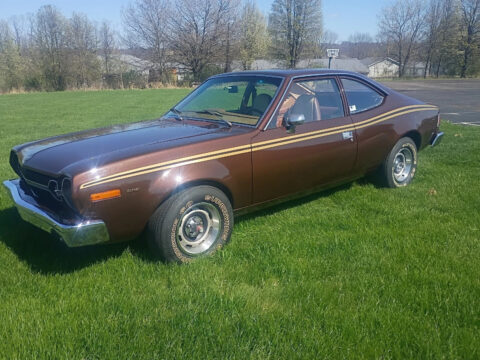 1977 AmC Hornet for sale