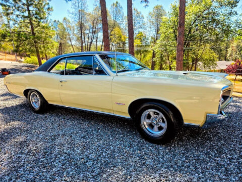 1966 Pontiac GTo for sale