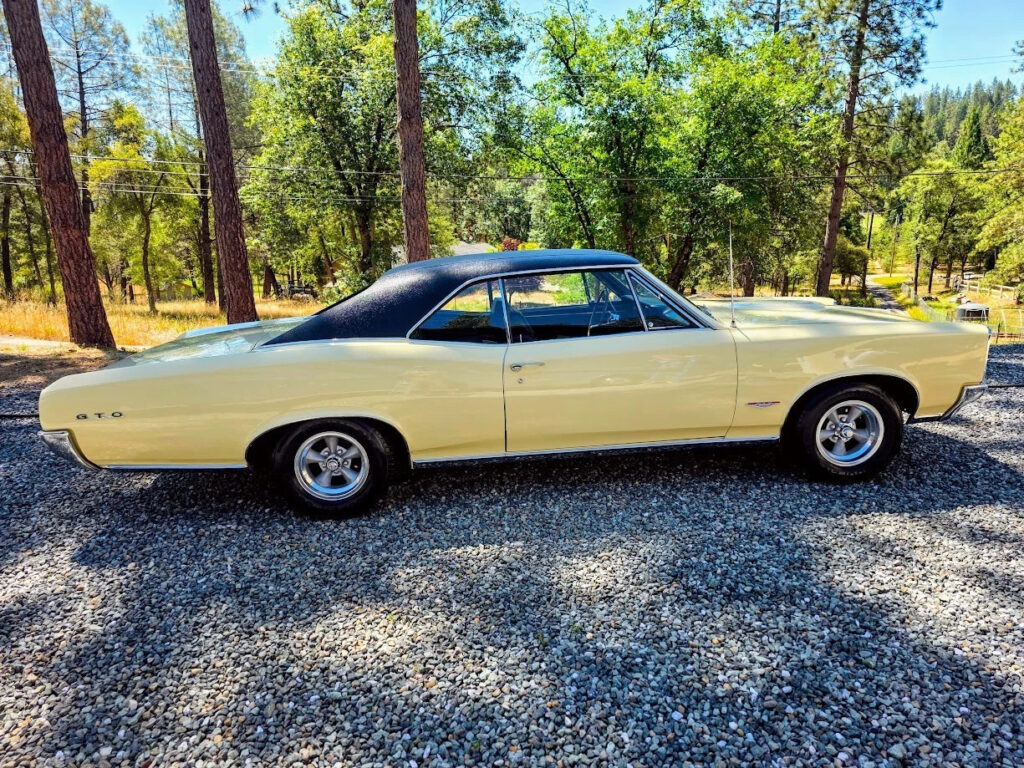 1966 Pontiac GTo